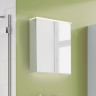 Зеркальный шкаф с подсветкой GEBERIT OPTION PLUS 801461000 60 см